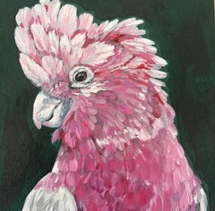 Original Painting Art Rosy Cockatoo Parrot Boho Jungle Theme 6×8