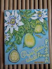 Floral/Fruit Still Life, ‚Passion Fruit‘, Kitchen/Dining Art Print , Tropical
