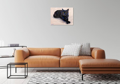 Original Black Cat Oil Painting Impasto Cat Portrait Animal 14″x18″ Wall Art