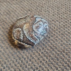2001 Hand Painted Racoon on Round River Rock Stone Signed Stoned Sweeties 3″