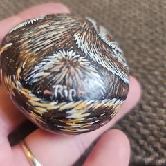 2001 Hand Painted Racoon on Round River Rock Stone Signed Stoned Sweeties 3″