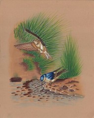 Sparrow Bird Miniature Art Handmade Indian Ethnic Nature Watercolor Painting