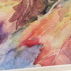 Original Watercolor Painting Nature Autumn Leaves Framed Signed Cynthia Moser