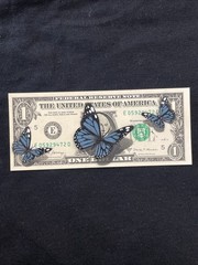 3D Monarch Butterflies One Dollar Bill painting Graffiti Art Tattoo Art