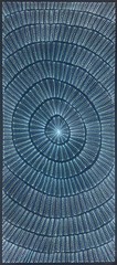 Mary Rumble Pitjara.Highly Collectable Aboriginal Art. Incl COA and photo’s