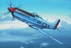 Original Raymond Waddey Painting Aviation Art US Air Force P51 Mustang Aircraft