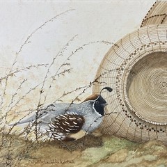 Carol McLaughlin Kortnik „California Quail“ Original Framed Wildlife Art