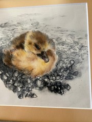 VTG 1980s Orig Watercolor Painting in Silver Bamboo Style Frame; Baby Duck