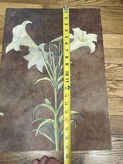 Antique Watercolor Painting on Paper 30s Brazilian Edwiges Jacobusich- Flower