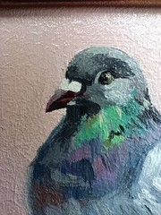 Pigeon Original Oil Painting 4×4 Framed Signed Gray Bird Pink Miniature Art