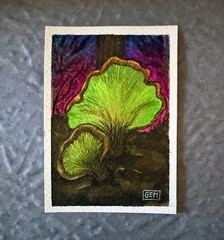 ACEO ATC Original Watercolor Painting, Ghost Mushrooms in Forest 2.5″ x 3.5″ GEM