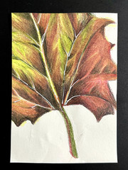 ACEO Original, Abstract Tree Leaf, Mini Art Painting, by Annibbie