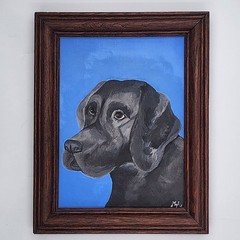 Original Oil Painting 11×14 Black Labrador Retriever Dog Portrait Signed Framed
