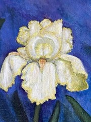 Original Framed Oil Art Floral Yellow Iris on a blue Background Signed 24”x18”