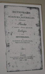 Antique Hand colored French Engraving Pierre Birds matted 1830 ready to frame