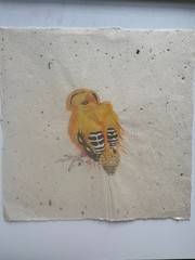 Vintage Watercolor Painting Gold Finch John Matassa OOAK 8 x 8