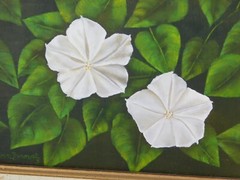 VTG ANN ZUROWETZ TCU FORT WORTH TEXAS MAGNOLIA FLOWER OIL PAINTING 8″x6″