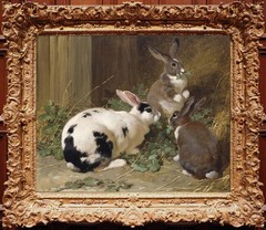 Hand Painted Vintage Oil Painting Rabbit Farm Animal Wall Art Antique Style
