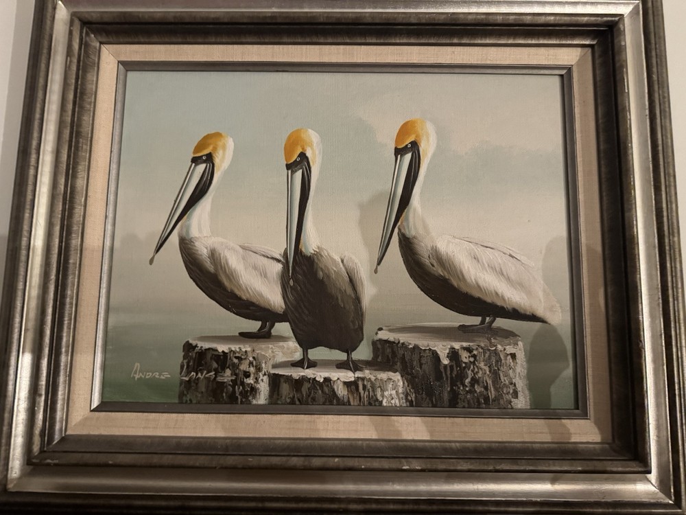 Pelican Oil Painting By Andre Lange