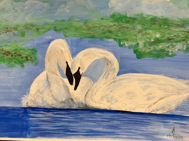 Swans in Love