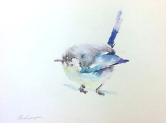 Fairy Wren, Birds, Watercolor artwork, Handmade, Original painting on paper