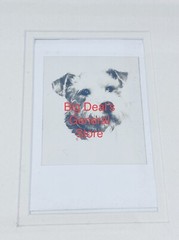 Ruth Perkins Safford Captain Laurance Safford Watercolor Navy Art Photo Postcard