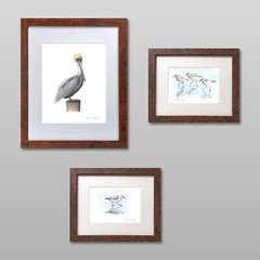 Pelican 8″x10″ Giclee Print of Hand-Painted Watercolor, Unframed