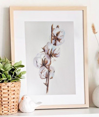Original watercolor cotton on a branch 12×9″ Botanical drawing