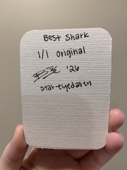 aceo original, whale shark sea animal portrait, 2.5 x 3.5 in acrylic