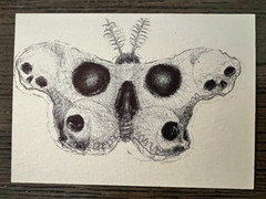ACEO Original Skull Moth (2.5″ x 3.5″)