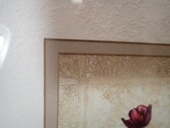 Contemporary Tulip Flower Print Framed Home Decor Picture Wall Hanging 17×12