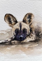ACEO Original Mixed Media Painting Art African Dog