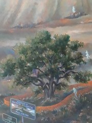 Original Watercolor on Canvas Signed Don Trout Santa Clarita New Development