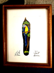 Vintage 2 JOSE GARRO – PARROT PAINTED on FEATHER – Costa Rica – Framed &SIGNED