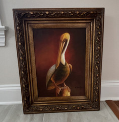 Framed Pelican Bird Painting Realism Wall Art