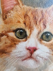 Original Oil Painting Miniature 6×4 in Framed Signed Red Cat Green Eyes