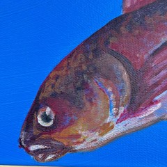 Original Contemporary Fish Still Life Oil Painting on Canvas, Signed