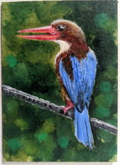 ACEO Original Painting art card birds Hand painting 2 .5/3.5