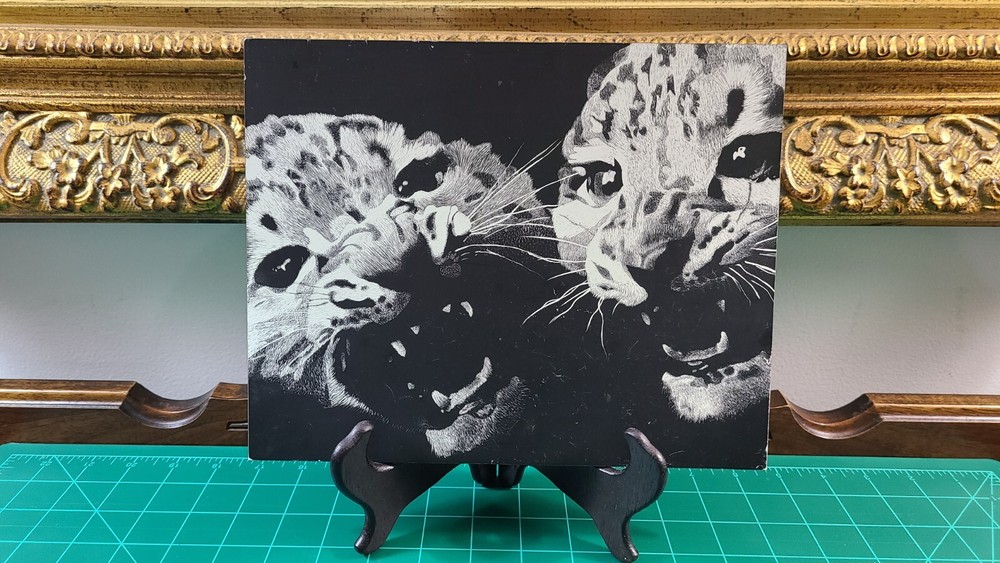 White Tiger Kittens on Scratchboard 8″ x 10″ x 1/8″ ~ Original Art Piece w/ Ease