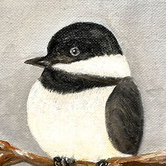 Black Capped Chickadee Oil Painting ACEO Original 8×10 Canvas Board Art Signed