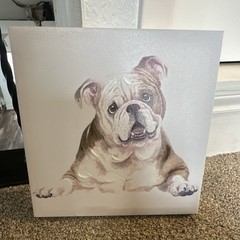 Bulldog Realism Portrait Canvas Painting 12×12 in Medium Animal Art