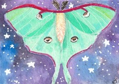 ACEO Original Luna Moth Butterfly Celestial Watercolor Painting by K Jackson