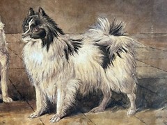 Antique 19th C. painting Pomeranians dog group artist signed P.H. Staines 1865