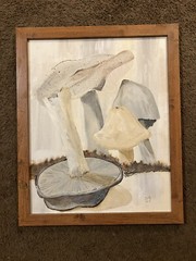 Mushroom Painting Oil On Canvas Framed & Signed 22” Tall 18” Wide Ready To Hang