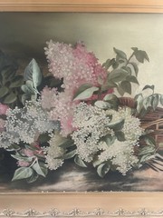 Large Antique Oil Painting of Pink and White Lilacs 1890s Framed