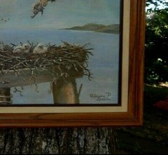 Eagle in Flight Feeding Her Young, Magnificent Original Oil, Ginger Davis. MINT