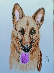 Pets‘ portraits from your photo, still-life, food, acryl and alcohol markers