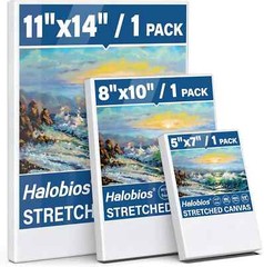 Stretched Canvases Painting Canvas for Acrylics,Oils & Other Painting Media