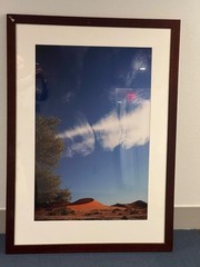 Framed Art 35″ x 47″ – Good Condition