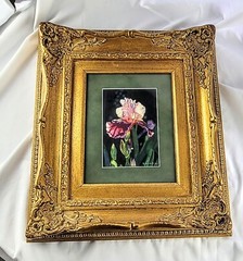 Watercolor painting Richard William Haynes Treasure of Hope flowers framed Decor